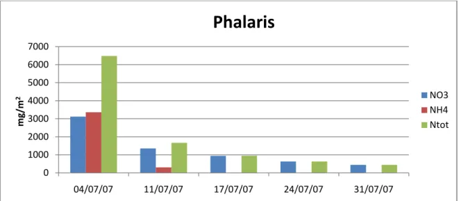 Figura 66: Rimozione di N nel mese di Luglio delle vasche contenenti PHR 