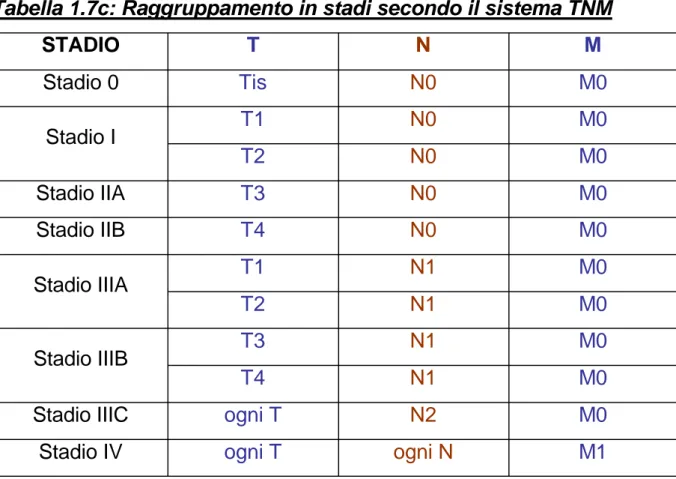 Tabella 1.7c: Raggruppamento in stadi secondo il sistema TNM STADIO T N M Stadio 0 Tis N0 M0 T1 N0 M0 Stadio I T2 N0 M0 Stadio IIA T3 N0 M0 Stadio IIB T4 N0 M0 T1 N1 M0 Stadio IIIA T2 N1 M0 T3 N1 M0 Stadio IIIB T4 N1 M0