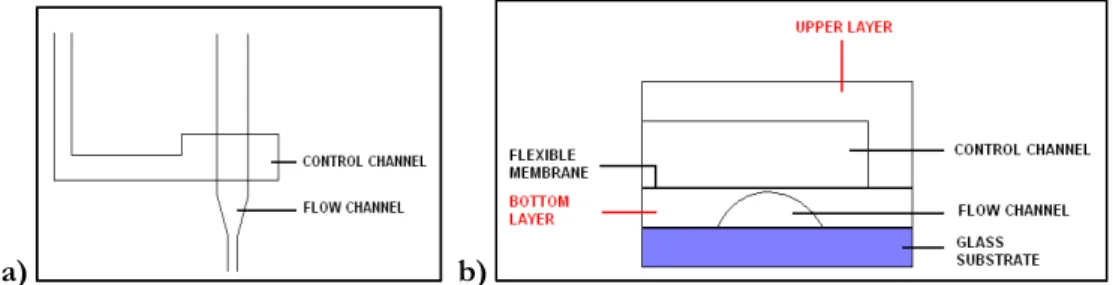 Figure 2. 2 a) Geometry of the active valves. b) Valve cross section. The two  overlapping channels are shown: the control and the fluidic channel