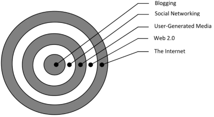 Fig. 2.3 – Una immagine del Web 2.0 197
