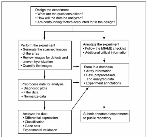 Figura I2: Diagramma di flusso operativo di un esperimento di microarray 