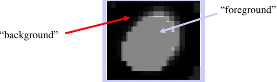 Figura 2.6: Separazione del “background” dal “foreground” attraverso una “spot mask”. 
