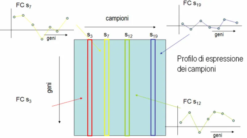 Figura 3.18: Spazio degli esperimenti 