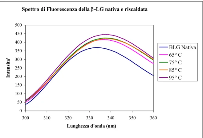 Fig. 7: Spettro di fluorescenza della  -LG nativa e riscaldata alle temperature di 65° C, 75° 