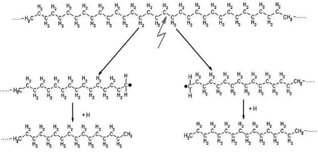 Figura 2.4 – Reazione di depolimerizzazione di composti organici in diesel  [1]