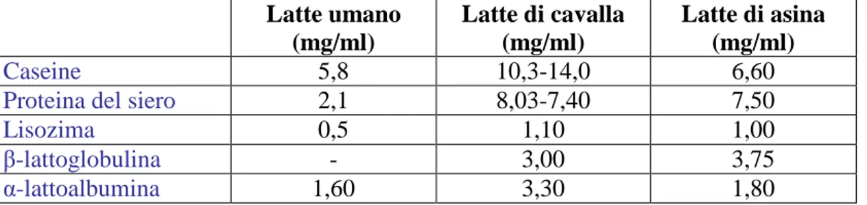 Tabella 6. Comparazione tra caseina totale, proteina totale del siero e proteina non-caseina  nel latte umano, di cavalla e di asina (Vincenzetti et al., 2008)  