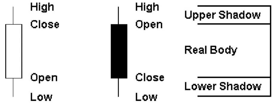 Figura 1 Esempio di Candles rialziste e ribassiste 