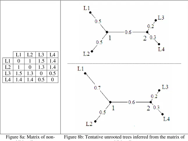 Figure 8a: Matrix of non- non-additive distances. 