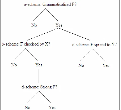 Figure 5: Implicational hierarchy entailed by Longobardi’s (2005) parameter schemata. 