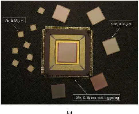 Figura 4.3: a) visione delle varie versioni del chip di raccolta. b) visione della pad dell’ASIC e disegno del minicluster