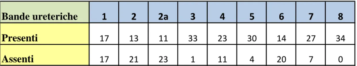 Tabella 4. 1 Numerosità delle bande di pertinenza renale 