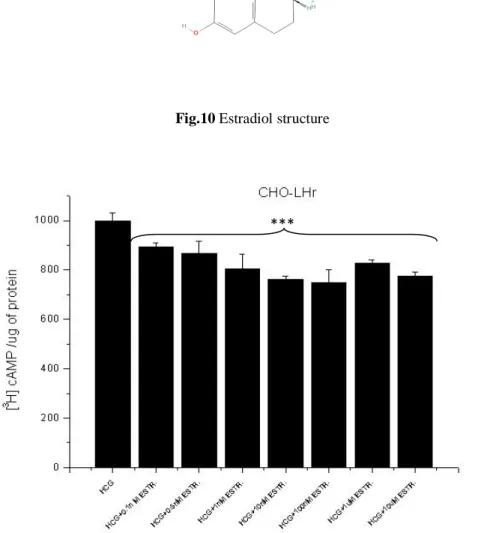 Fig.  11  Increasing  concentrations  of  Estradiol  (from  1nM  to  10uM)  in  CHO-LHr  exposed  to 