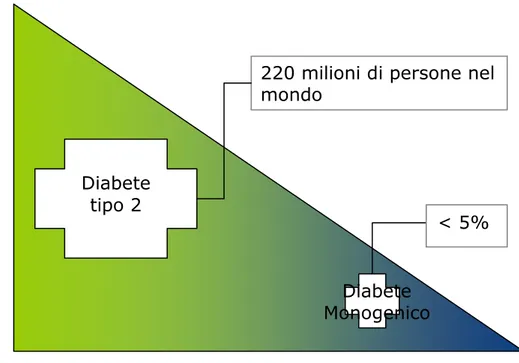 Figura 5. Prevalenza del diabete in relazione all’ambiente e al genotipo. 