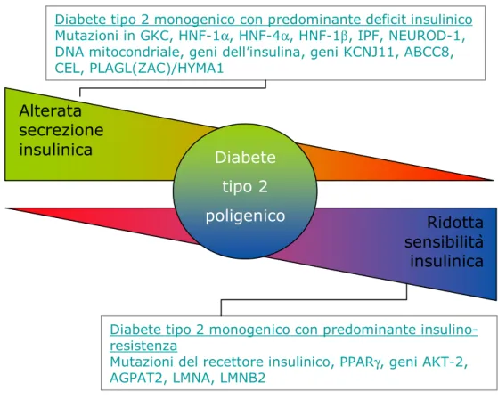 Figura 6. Caratteristiche metaboliche associate con il diabete monogenico. 