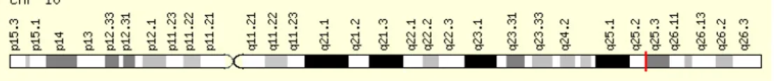 Figura 8. Gene TCF7L2 nella sua posizione genomica. 