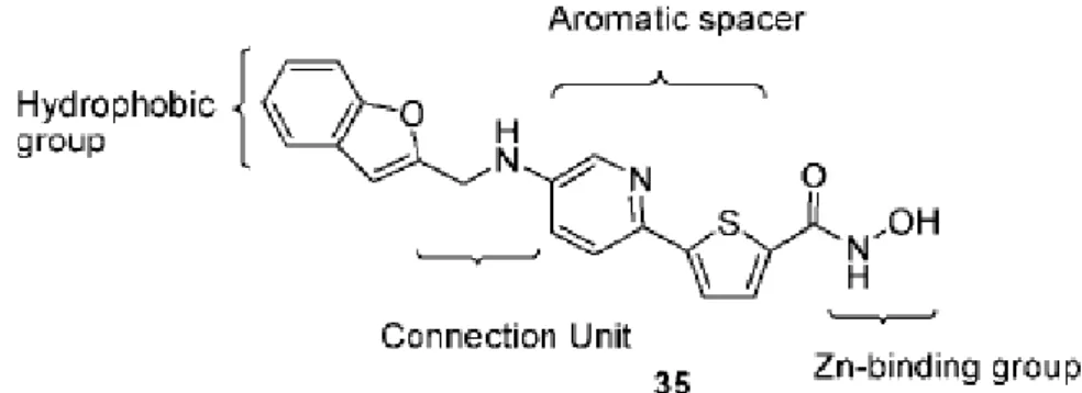 Figura   11:   struttura   generale   di   acidi   idrossamici   con   linker   aromatico   od 