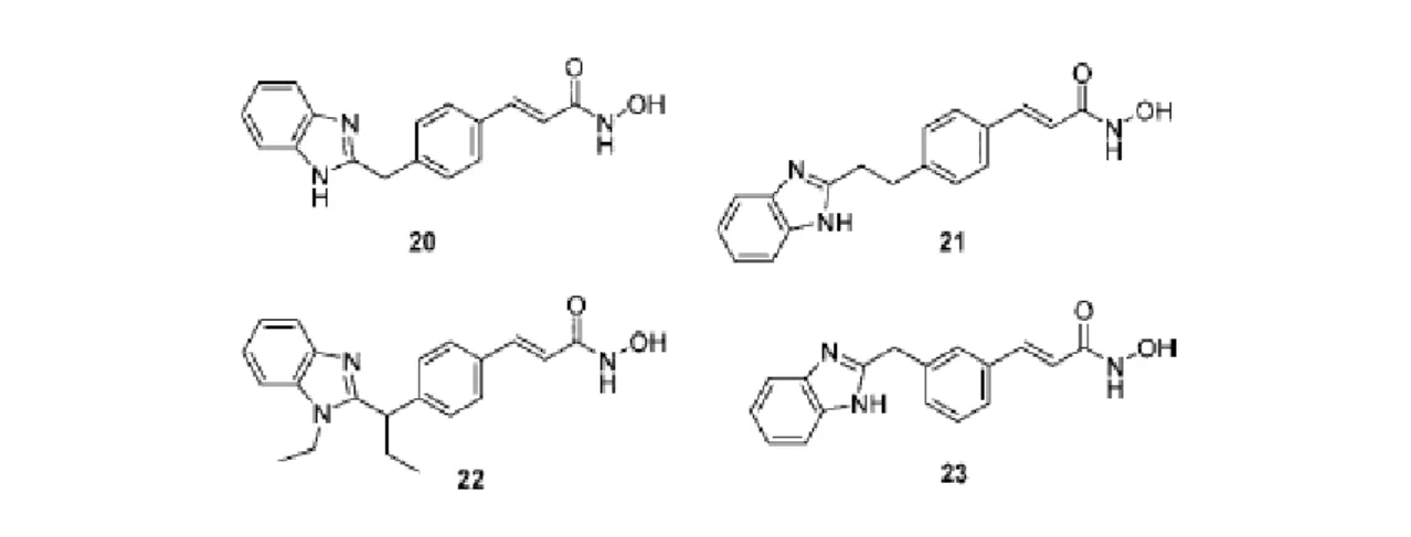 Tabella 13: acidi idrossamici con linker cinnamoilico, CAP benzimidazolico e CU metilenica.
