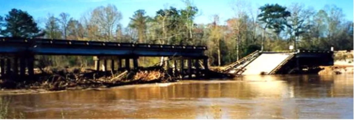 Figura 1.2 - Rottura del  ponte per l’occlusione delle campate,(Louisiana) 