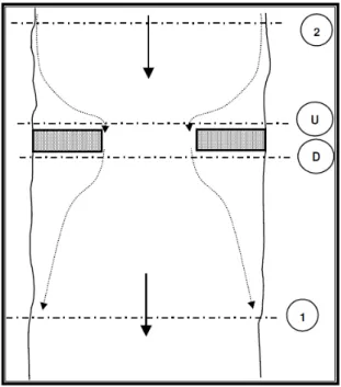 FIGURA 5.1 -SCHEMA DI SUCCESSIONE DELLE SEZIONI PER IL CALCOLO DEL PROFILO IN PRESENZA DI  UNA SINGOLARITÀ 