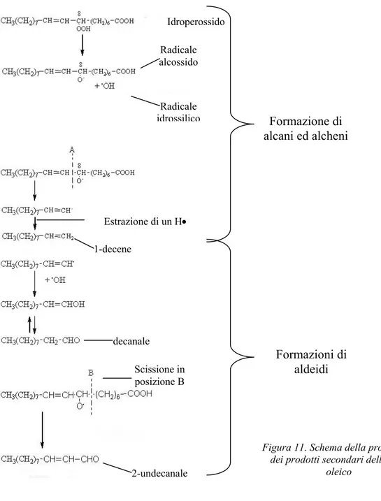 Figura 11. Schema della produzione  dei prodotti secondari dell'acido 