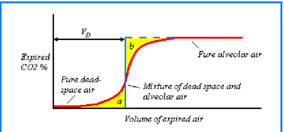 Figure 1.4   CO 2  concentration profile as a function of expired volume Fowler’s 