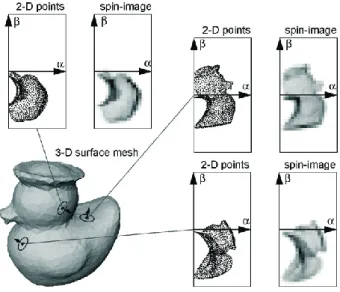 Figura 2.13: Spin images calcolate per tre punti sul modello 3D. Per ogni punto sono mostrati in coordinate cilindriche i vertici che si trovano nella regione di supporto, oltre alla la spin image associata.