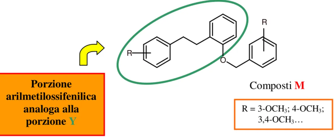 Figura 8 : Struttura generale dei derivati arilmetilossifenilici ad attività P-gp  inibitoria.