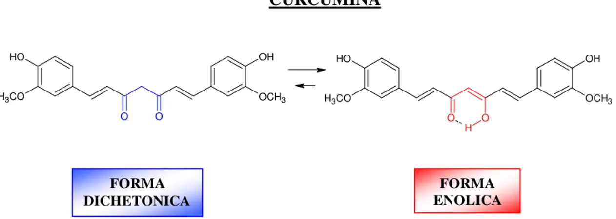 Figura 3: Strutture chimiche dei più importanti curcuminoidi estratti dal rizoma della 