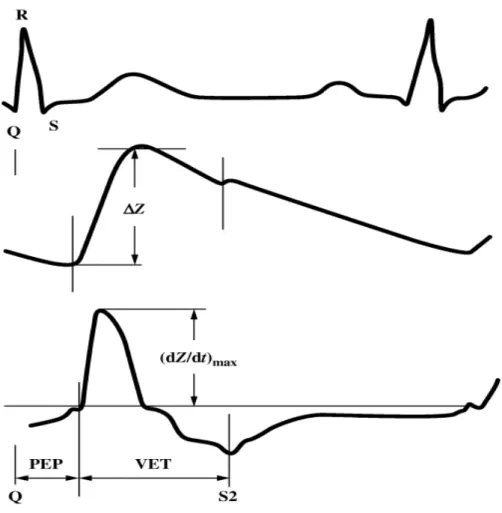 Figura  9 .  Relazione  tra  ECG,  ∆Z  (variazioni  di  impedenza)  e  dZ/dt  (variazioni  di  impedenza  nel  tempo)