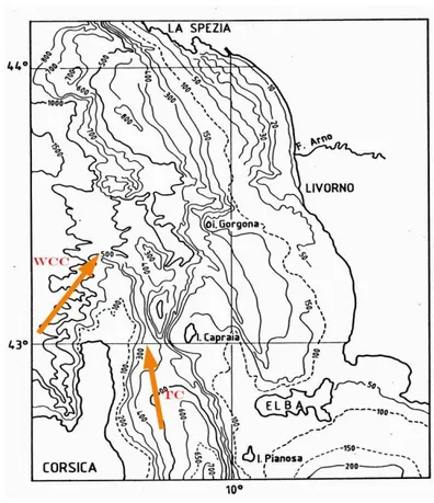Fig.  3.1.1  –  Batimetria  del  Mar  Ligure  occidentale  e  andamento  delle  correnti  al  largo