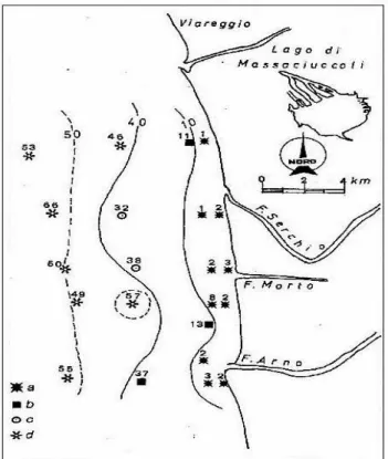 Fig.  3.3.2  -  Distribuzione  dei  sedimenti  superficiali  lungo  la  costa  tra  Torre  del  Lago  e  la  foce 