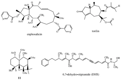 Fig. 2.13. Terpenes . 