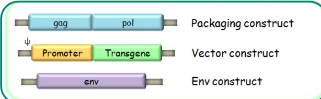 Figure 1.8: Split component system organization. 
