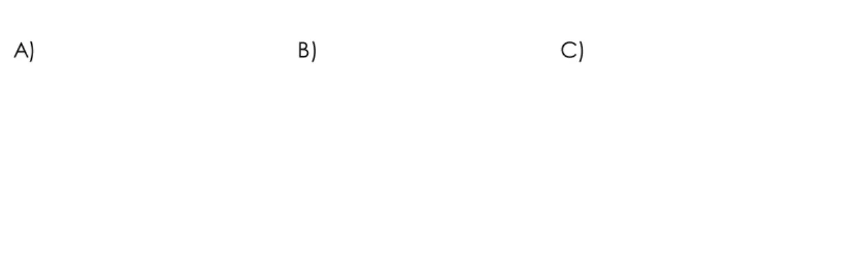 Figure 4.15: BRCA expression in HCC1937 A) unlabeled cells B) mock transduced  cells C) transduced cells