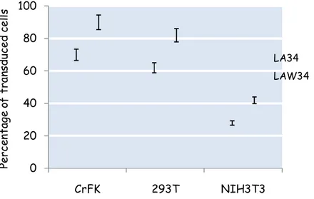 Figure  4.1:  Transduction  efficiency  following  WPRE  insertion  as  evaluated  on  feline,  human  and  murine  cells  using  GFP  as  reporter  gene