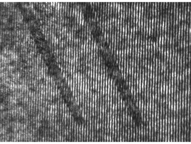 Figura 3.4: Interferogramma di calibrazione. La doppia immagine del lo da 60 µm è chiaramente visibile.