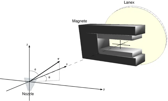 Figura 4.6: Rappresentazione del sistema di coordinate utilizzato per l'analisi dati. Il campo magnetico è orientato verso le z positive e la deessione degli elettroni avviene, di conseguenza, verso le y negative