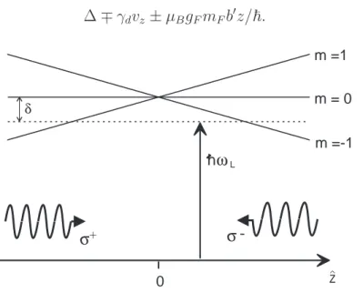Figure 1.3: Principle of a one dimensional MOT for a F = 0 → F ′ = 1