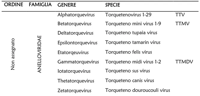 Tab. 1 Nuova classificazione degli Anellovirus secondo l’ICTV.  