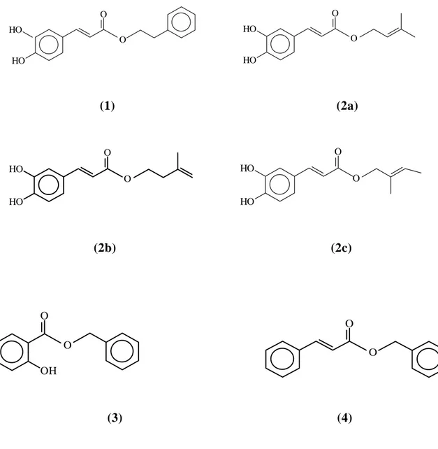 Figura I1. Esteri responsabili di reazioni allergiche (1) Feniletil caffeato   (2a, b, c) I tre isomeri del prenil 