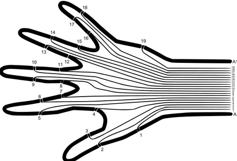 Figura 16: Layout delle piste di elastomero