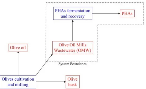 Figure 3.12  System Boundaries of POLYVER Technologies for PHAs  Production and OMW Treatment