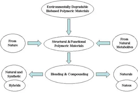 Figure 1.1.  Main Options for the Production of Environmentally  Degradable Bio-Based Polymeric Materials and Plastics