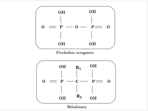 Figura 1.1. Struttura chimica del pirofosfato organico e di un bifosfonato generico.