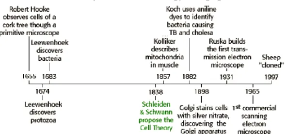 Figure 2.1: Major Events in Cell Biology