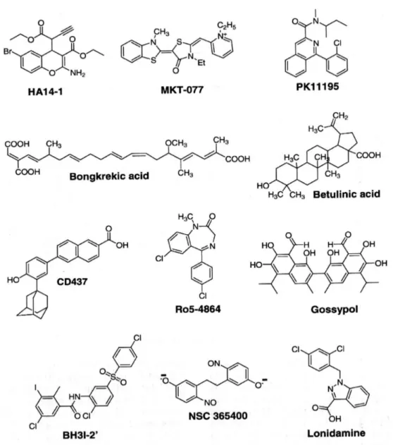 Figura 11.  Farmaci che agiscono su Bcl-2 o sui pori di transizione della membrana.