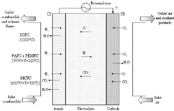 fig. I.2 – Schematic representation of different types of fuel cells (Campanari, 2001)