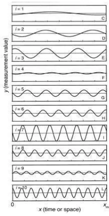 Fig. 1.2: (B) Segnale che descrive le fluttuazioni nello spazio o nel tempo di una variabile biotica o 