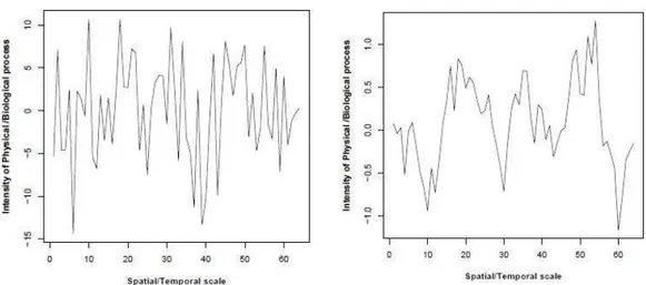 Fig.  2.2.  Rappresentazione  grafica  della  variazione  di  intensità  di  un  processo  alle  diverse  scale 