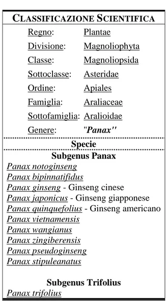 Tabella 1-Classificazione scientifica del Ginseng.